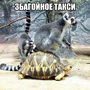 ���� ������, ������ - ��������� 3 ��� 2016 � ������ ���� ����������
