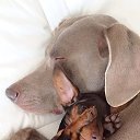 �� ���� �� ����� ...... �� ������� ���� ����������