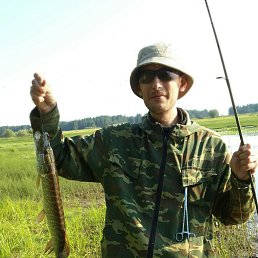 ���� ���������, ���������, 42 ���� - ��������� 29 ���� 2016