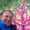  , , 40  -  24  2016    ߻