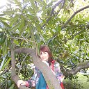 ���� �������, ���������, 61 ��� - ��������� 24 ������ 2016 � ������ ���� ����������