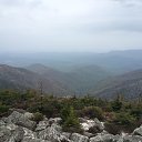 ���� �����, �����������, 39 ��� - ��������� 18 ��� 2016 � ������ ���� ����������