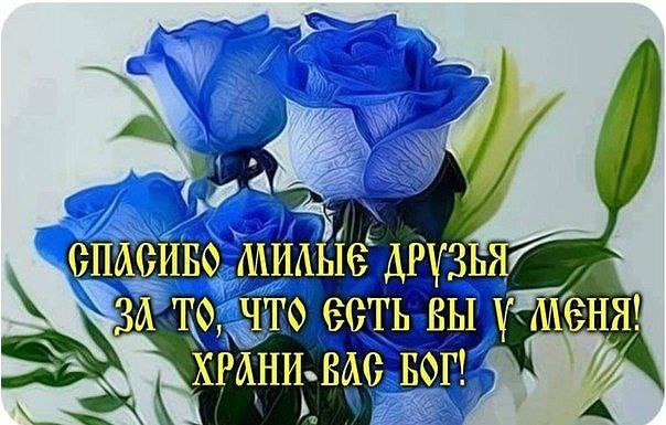 Друзья мои, позвольте мне сказать вам, Что, если я всю землю обойду - уставшая в конце вернусь назад ...