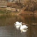 ���� ���������, ������� - ��������� 18 ������ 2016