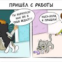 ���� �����, �������, 36 ��� - ��������� 4 ������ 2016 � ������ ������ ��������