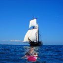 ���� �����, ������������ - ��������� 11 ������� 2016 � ������ ���� ����������