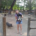  Aleksa , , 45  -  6  2016    