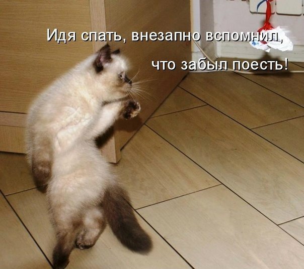  -  - 16  2016  23:21