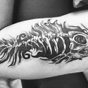 ���� �������, �����-��������� - ��������� 30 ���� 2016 � ������ ���� ����������