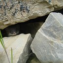 ���� ���������, �������, 53 ���� - ��������� 8 ������� 2016 � ������ �������������� "�������-������� 2016"�