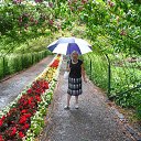 ���� Tamara ����������, ���������, 70 ��� - ��������� 19 ����� 2016 � ������ �Moi lyubimie tsveti�