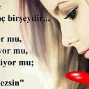 ���� �����, ������� - ��������� 29 ����� 2016 � ������ ���� ����������
