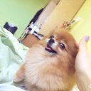 ���� ����, �������� - ��������� 25 ������ 2016 � ������ ������ ��������