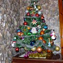 ���� 2016 �� ������� ���� ����������