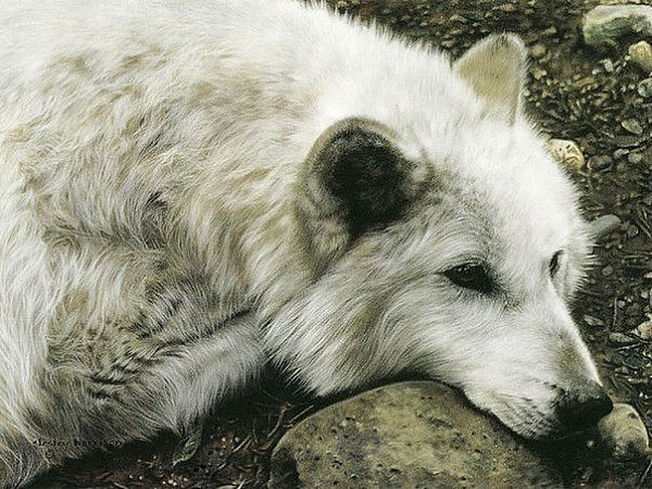 В жизни есть конец всему. Любви… Друзьям… Страданиям… Но нет конца лишь одному — Воспоминаниям.