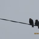 ���� ����������, ������, 58 ��� - ��������� 4 ������ 2016 � ������ �������