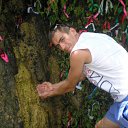 ���� ��������, ������������, 39 ��� - ��������� 28 ����� 2016 � ������ ���� ����������