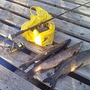 ���� ��������, ������������ - ��������� 12 ������ 2016 � ������ ���� ����������