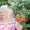 ���� ���� �����, ������ - ��������� 8 ���� 2016 � ������ �2016 �.����,����� � ����������"���������" ��� ������