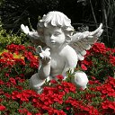 ���� �����, ��������� - ��������� 19 ��� 2016 � ������ ������