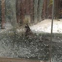 ���� ����, ������������, 35 ��� - ��������� 12 ���� 2016 � ������ �Moscow 2016 January�