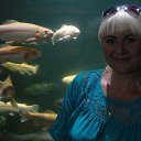 ���� �����, �����, 49 ��� - ��������� 27 ����� 2016 � ������ ���� ����������