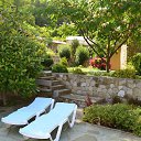 ���������� ����������� ��������� � ���� �������� �������� �� ������� ���� ����������