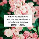 ���� ���, �����, 50 ��� - ��������� 18 ��� 2016 � ������ �R�