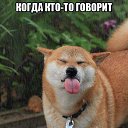 ���� Nik, ������������, 57 ��� - ��������� 8 ���� 2016 � ������ ������ ��������