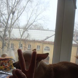 ������, �����������-��-�����, 31 ���