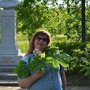 ���� ������, ������, 55 ��� - ��������� 12 ��� 2016 � ������ ���� ����������