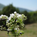 ���� Serg, �����������, 59 ��� - ��������� 2 ��� 2016 � ������ ���� ����������