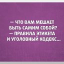 ���� ������, �����, 41 ��� - ��������� 7 �������� 2016 � ������ ������ ��������