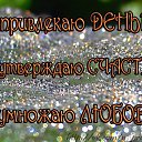 ���� �����, ��� - ��������� 23 ������� 2016 � ������ ������ ��������