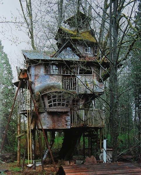 Серия “Домик в лесу на дереве“ / - 6