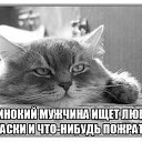  ,  -  24  2016      ?