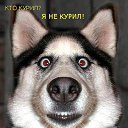 ���� ���, �����-���������, 40 ��� - ��������� 23 ���� 2016 � ������ ������ ��������