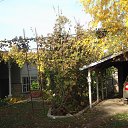  , , 73  -  29  2016   Ȼ