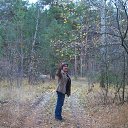 ���� ��������, �������, 54 ���� - ��������� 8 �������� 2016 � ������ ���� ����������