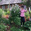 ���� ������, �����-���������, 61 ��� - ��������� 26 ���� 2016 � ������ ���� ����������