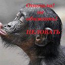 ���� ����, ��������� - ��������� 7 ������ 2016 � ������ ��������