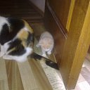 ���� ���� ��������, ��������������, 62 ���� - ��������� 9 �������� 2016 � ������ ������