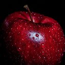 ���� �����, ���������, 53 ���� - ��������� 31 ������� 2016