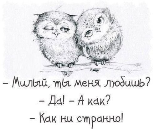 ПОЗИТИВЧИК.Мой муж в браке со мной, как раненый солдат. Мучается, стонет, но покидать поле боя ...