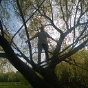 ���� �����, �����, 45 ��� - ��������� 22 ��� 2016 � ������ ���� ����������