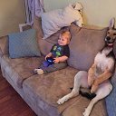 ���� ��������, ������, 41 ��� - ��������� 3 ������ 2016 � ������ ������ ��������