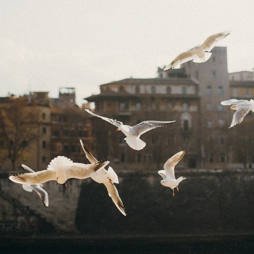 Три главных Закона Вселенной.Чтоб понимать, что происходит в вашей жизни, почему приходят и уходят ...