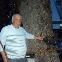  , , 75  -  12  2016    2016