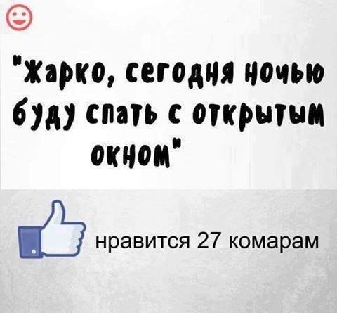  - 20  2016  13:02