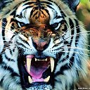 ���� ��������, ������ - ��������� 24 ��� 2016 � ������ ���� ����������